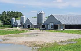 poultry farm house 2