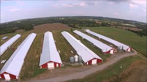 poultry farm house